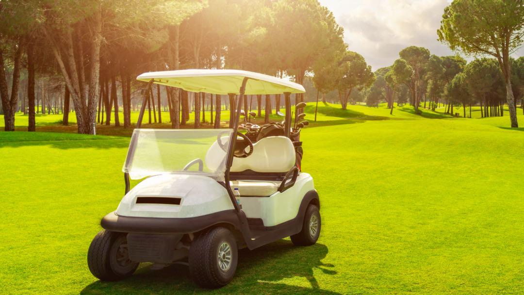 Golf Cart - -Pauls Auto Transport